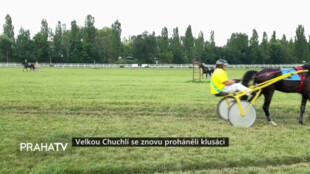 Velkou Chuchlí se znovu proháněli klusáci