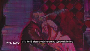 Villa Pellé představuje barevnou výstavu Mimikry