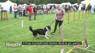 V Praze 4 proběhl další PesFest. Bavili se psi i páníčci