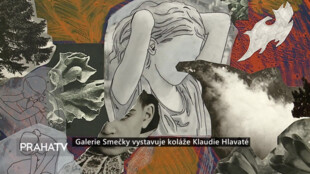 Galerie Smečky vystavuje koláže Klaudie Hlavaté