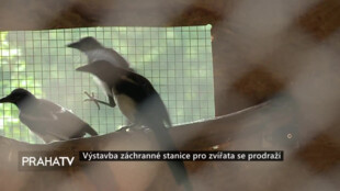 Výstavba záchranné stanice pro zvířata se prodraží