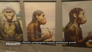 Národní pedagogické muzeum představuje pravěk