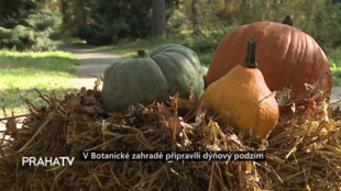 V Botanické zahradě připravili dýňový podzim