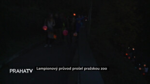 Lampionový průvod prošel pražskou zoo
