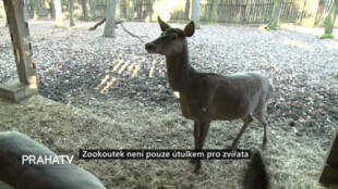 Zookoutek není pouze útulkem pro zvířata