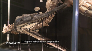 Trilopark nabízí návrat do pravěku