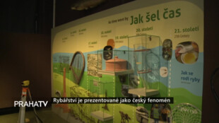 Rybářství je prezentované jako český fenomén