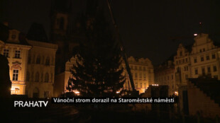 Vánoční strom dorazil na Staroměstské náměstí
