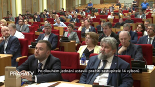 Po dlouhém jednání ustavili pražští zastupitelé 14 výborů