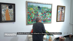Galerie 9 hostí díla klientů z Domova Petra Mačkov