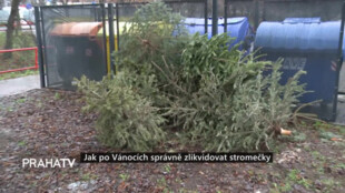 Jak po Vánocích vhodně likvidovat stromečky