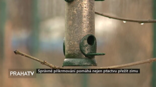 Správné přikrmování pomáhá nejen ptactvu přežít zimu