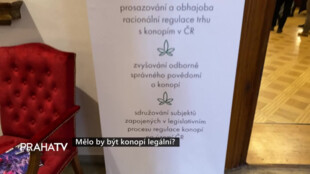 Mělo by být konopí legální?