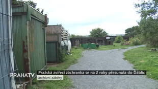 Pražská zvířecí záchranka se na 2 roky přesunula do Ďáblic