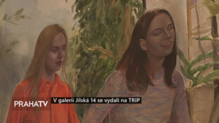 V galerii Jilská 14 se vydali na TRIP