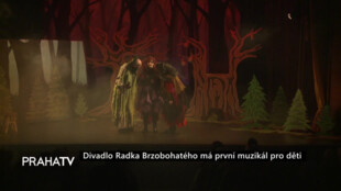Divadlo Radka Brzobohatého má první muzikál pro děti