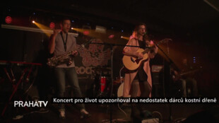 Koncert pro život upozorňoval na nedostatek dárců kostní dřeně
