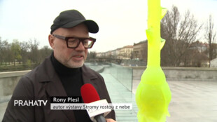 V Museu Kampa vyrostly skleněné stromy a růže
