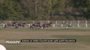 Sobota ve Velké Chuchli bude opět patřit klusákům