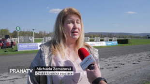 Kůň Pamino triumfoval ve Velké ceně televize PRAHA TV
