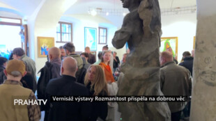 Vernisáž výstavy Rozmanitost přispěla na dobrou věc