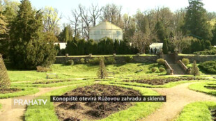 Konopiště otevírá Růžovou zahradu a skleník