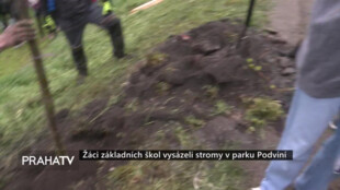 Žáci základních škol vysázeli stromy v parku Podviní