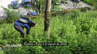 Studenti z Prahy 4 se zapojili do úklidu