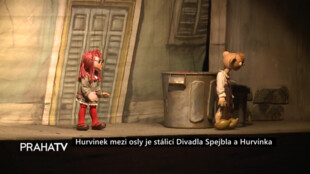 Hurvínek mezi osly je stálicí divadla Spejbla a Hurvínka