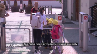 Zoo Praha nabízí zvýhodněné vstupné pro školy