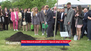 Princ Edward zasadil strom v lipové aleji ve Vestci