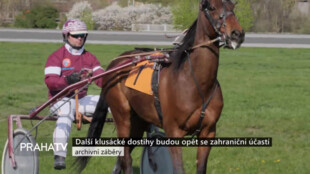 Další klusácké dostihy budou opět se zahraniční účastí