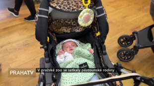 V pražské zoo se setkaly pěstounské rodiny
