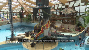 V Aquapalace Praha návštěvníci zažijí Havajské léto