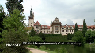 V Průhonickém parku rozkvetly růže i rododendrony