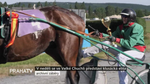V neděli se ve Velké Chuchli představí klusácká elita