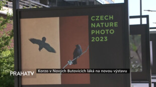 Korzo v Nových Butovicích láká na novou výstavu