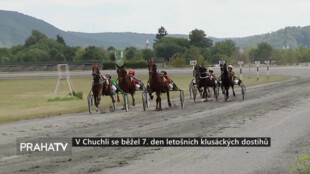 V Chuchli se běžel 7. den letošních klusáckých dostihů