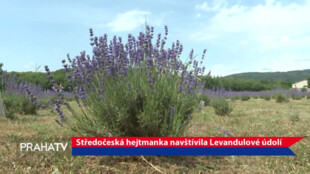 Středočeská hejtmanka navštívila Levandulové údolí