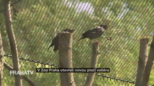 V Zoo Praha otevřeli novou ptačí voliéru