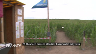 V Klíčanech můžete bloudit v kukuřičném labyrintu