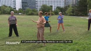 V Centrálním parku Na Pankráci se cvičí Tai-chi