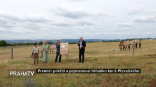 Premiér pokřtil a pojmenoval hříbátko koně Převalského