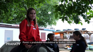 Poníci z pražského Hloubětína se budou stěhovat