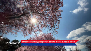 Středočeský kraj podporuje zelená města a péči o zeleň