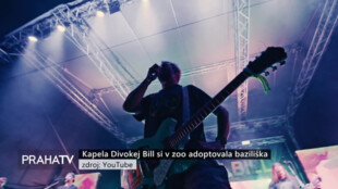 Kapela Divokej Bill si v zoo adoptovala baziliška