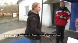 Bezdomovci v Praze využívají své psy k žebrání