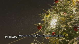 Mariánské náměstí v Praze rozzářil vánoční strom