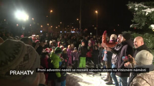 První adventní neděli se rozzářil vánoční strom na Vítězném náměstí