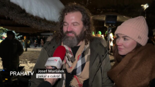 Vánoční strom v Zoo Praha rozsvítily známé tváře